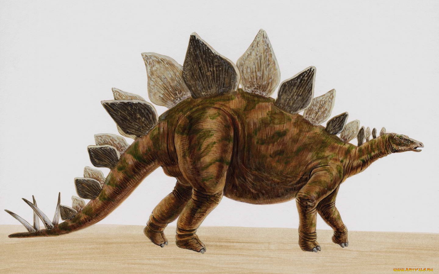 Стегозавр и Анкилозавр